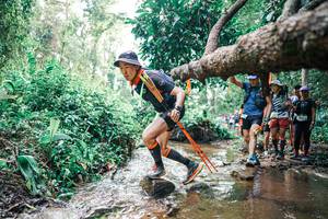 BIB: 
                            <button type="button" onclick="openModal(25375030)" class="btn btn-primary btn-sm float-right btn-popup" data-toggle="modal" data-target=".modal-high-quality">
                        <i class="fas fa-shopping-cart"></i> Add to Cart
                    </button>
                                            <button type="button" onclick="isThisMe(25375030, true)" class="btn btn-success btn-sm float-right btn-popup btn-isme hidden" data-toggle="tooltip" data-placement="bottom" title="นี่คือรูปของคุณใช่ไหม คลิกที่นี่เพื่อเอาเข้าอัลบั้ม">
                        <i class="fas fa-plus"></i> Add to album
                    </button>
                    <button type="button" onclick="isThisMe(25375030, false)" class="btn btn-warning btn-sm float-right btn-popup btn-isnotme hidden">
                        <i class="fas fa-ban"></i> Remove from album
                    </button>